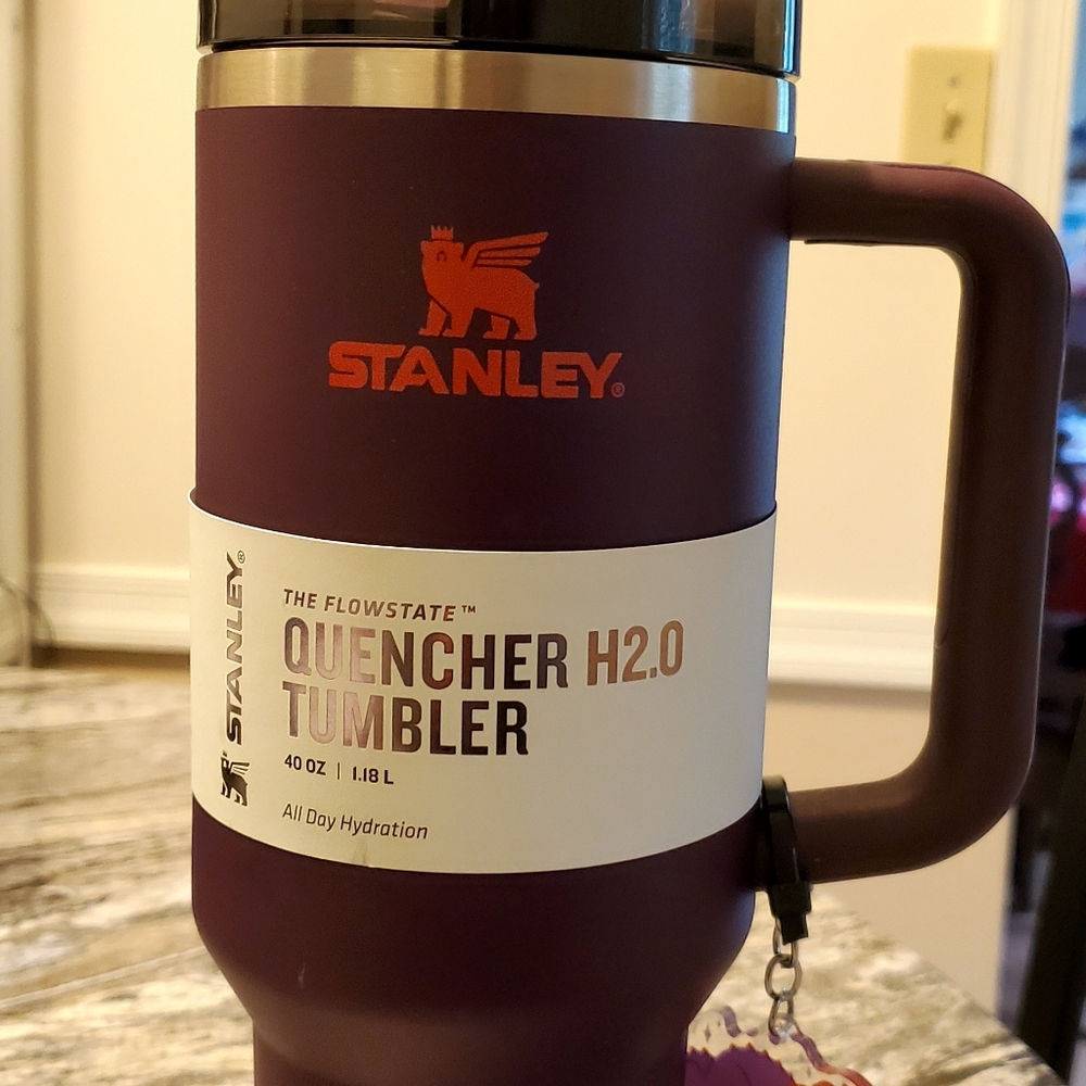 Stanley Cup Plum 40oz Disney Figment